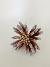 Load image into Gallery viewer, Succulent trio
