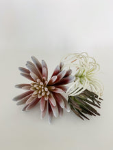 Load image into Gallery viewer, Succulent trio
